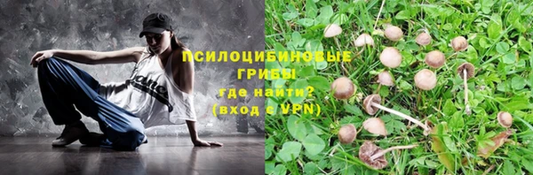 альфа пвп Лабытнанги