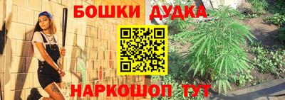 сатива Канаш