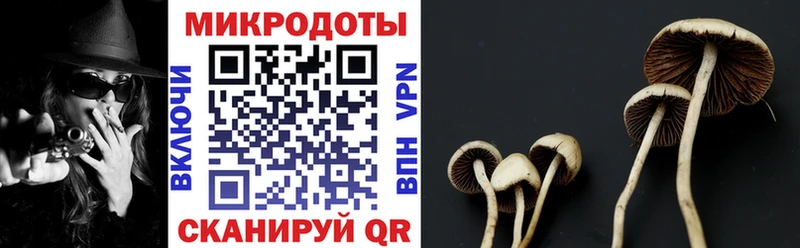 Галлюциногенные грибы ЛСД  цены наркотик  Энгельс 